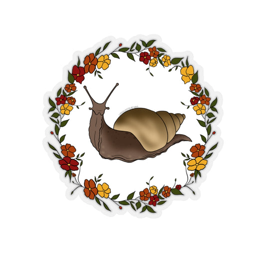 Fairy Ringed Gastropod