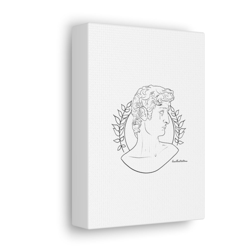 David Canvas Gallery Wraps