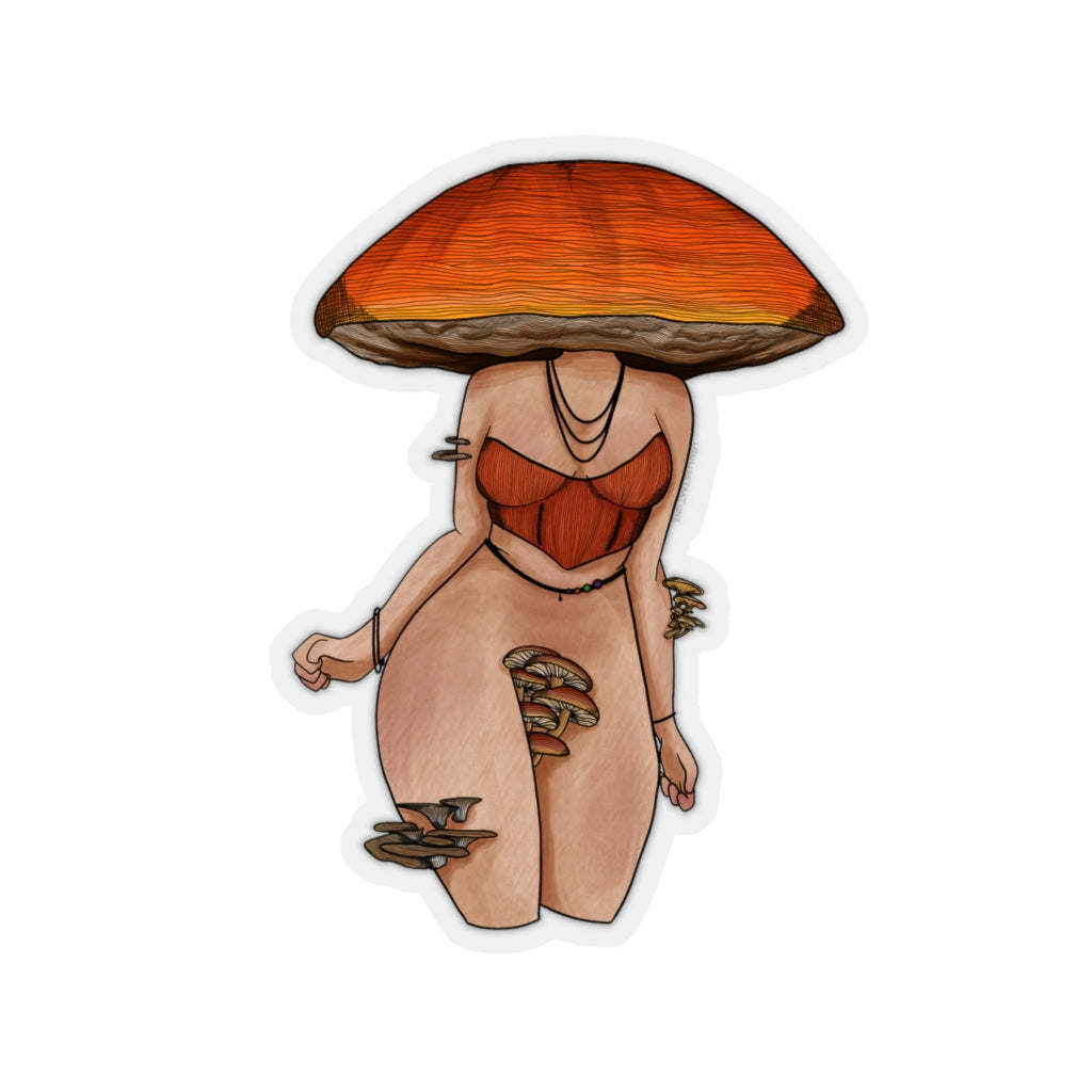 Brown Cap Boletus MushBabe
