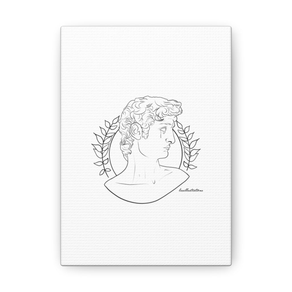 David Canvas Gallery Wraps